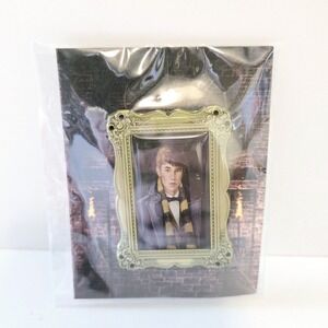 Wizarding Trunk Young Newt Scammander Harry Potter Pin Badge NIP
